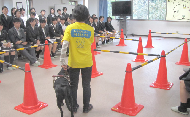 見学会の様子 写真