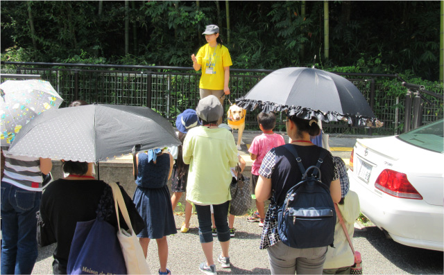 見学会の様子 写真