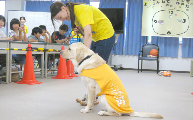 見学会の様子 写真